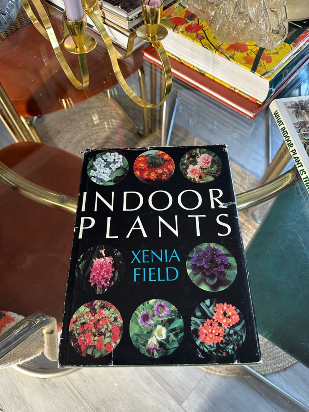 Indoor Plants by Xenia Field - Black Cover Book